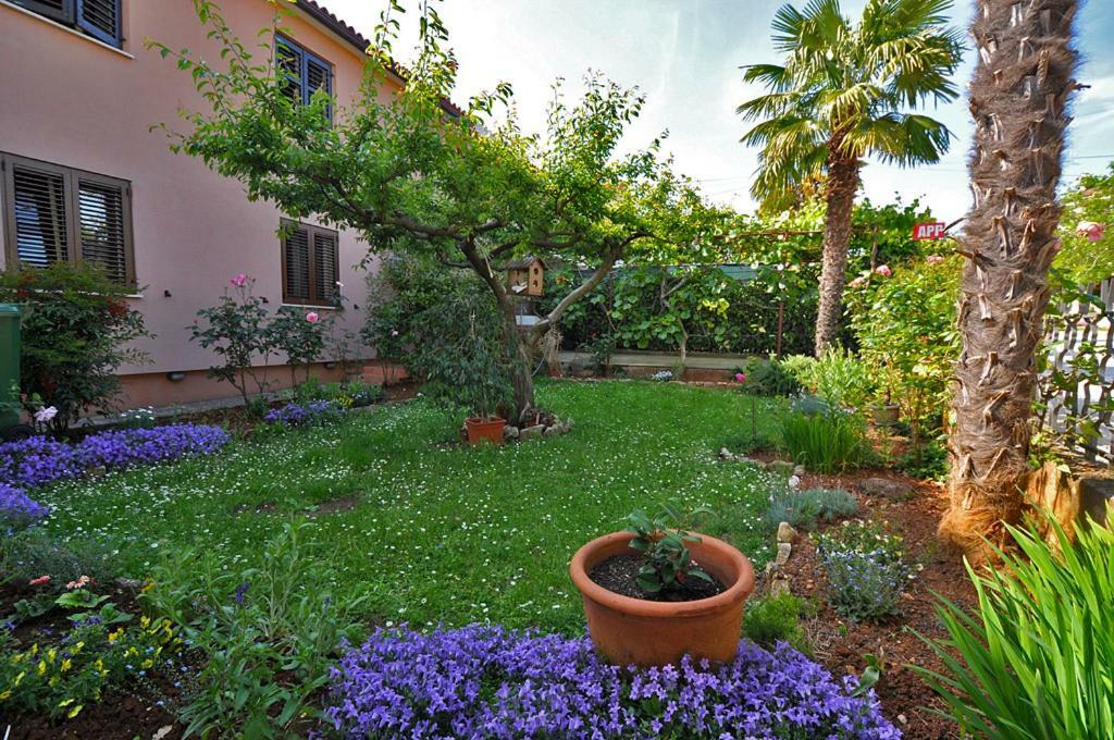 Casa Istriana Apartamento Novigrad Istria Exterior foto